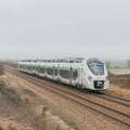 B 84557 L - Argentan - 25/01/2015