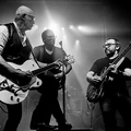 Les Witch Doctors - Cauville - 29/01/2022