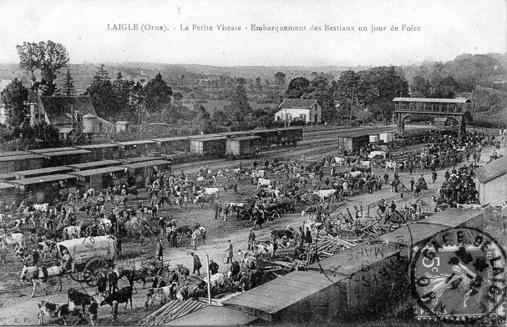 31laigle010.jpg