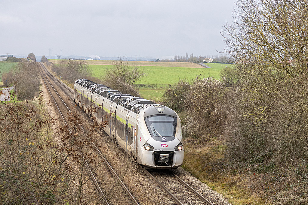 B84580Ltercey11122024.jpg
