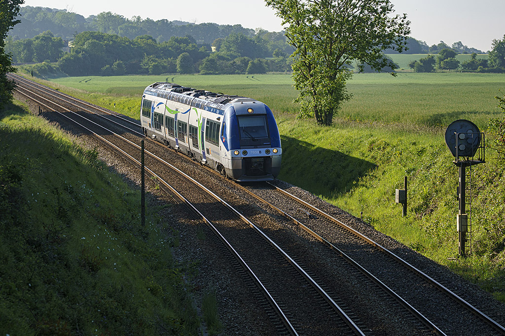 76598necy19052025.jpg